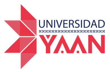Universidad YAAN